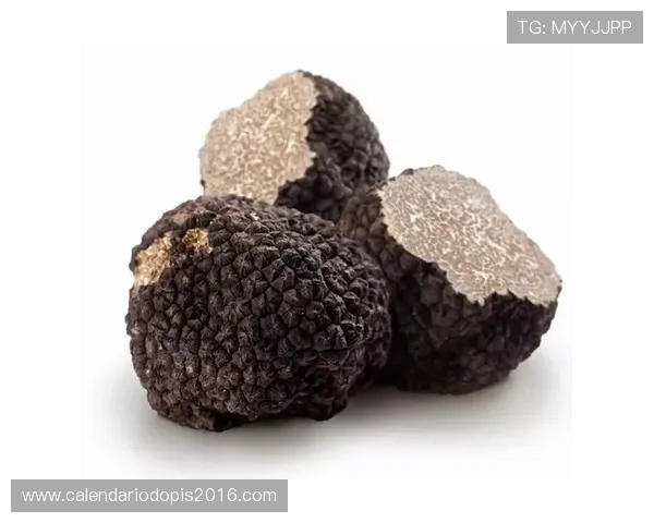 克罗地亚老化问题