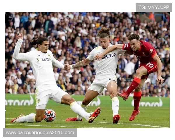 利兹联阵容深度